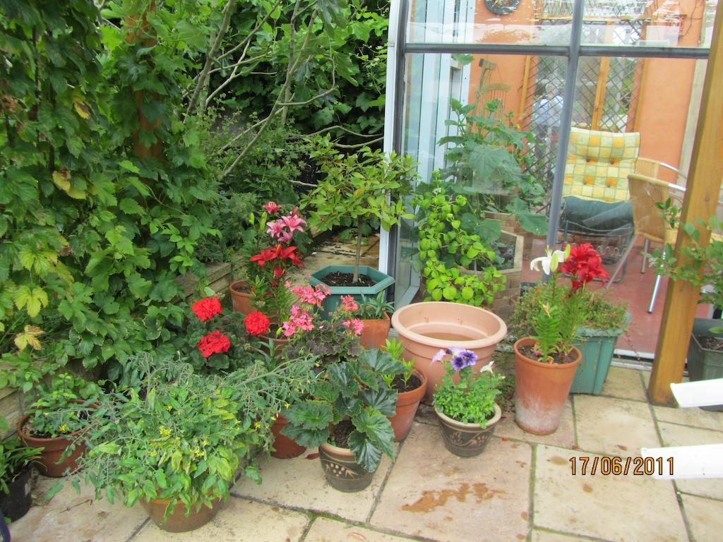 The Old Cider House Bed & Breakfast Nether Stowey Екстериор снимка